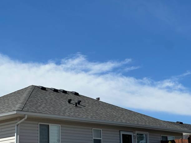 Best Roof Coating Services  in Thorndale, TX