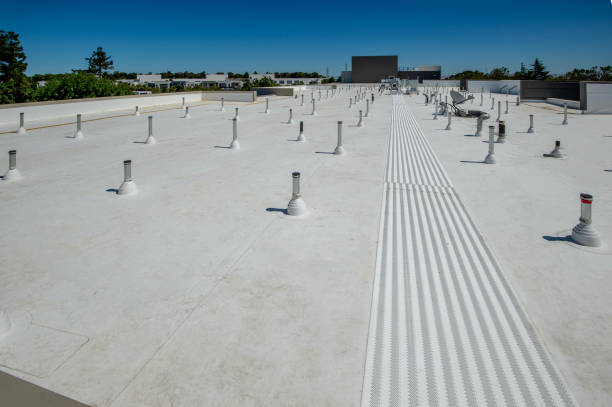 Best Roof Maintenance and Cleaning  in Thorndale, TX